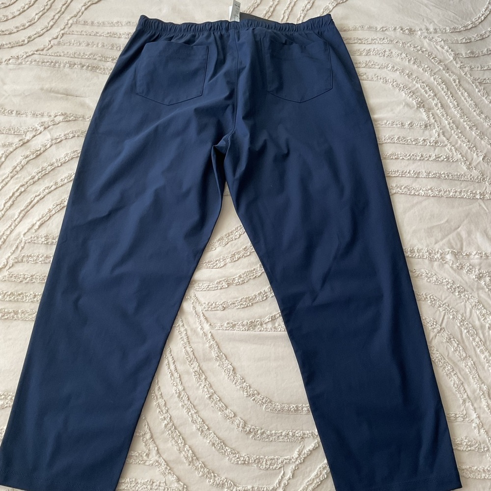 Fabletics Deep Blue Activewear Pants - Picture 5 of 8